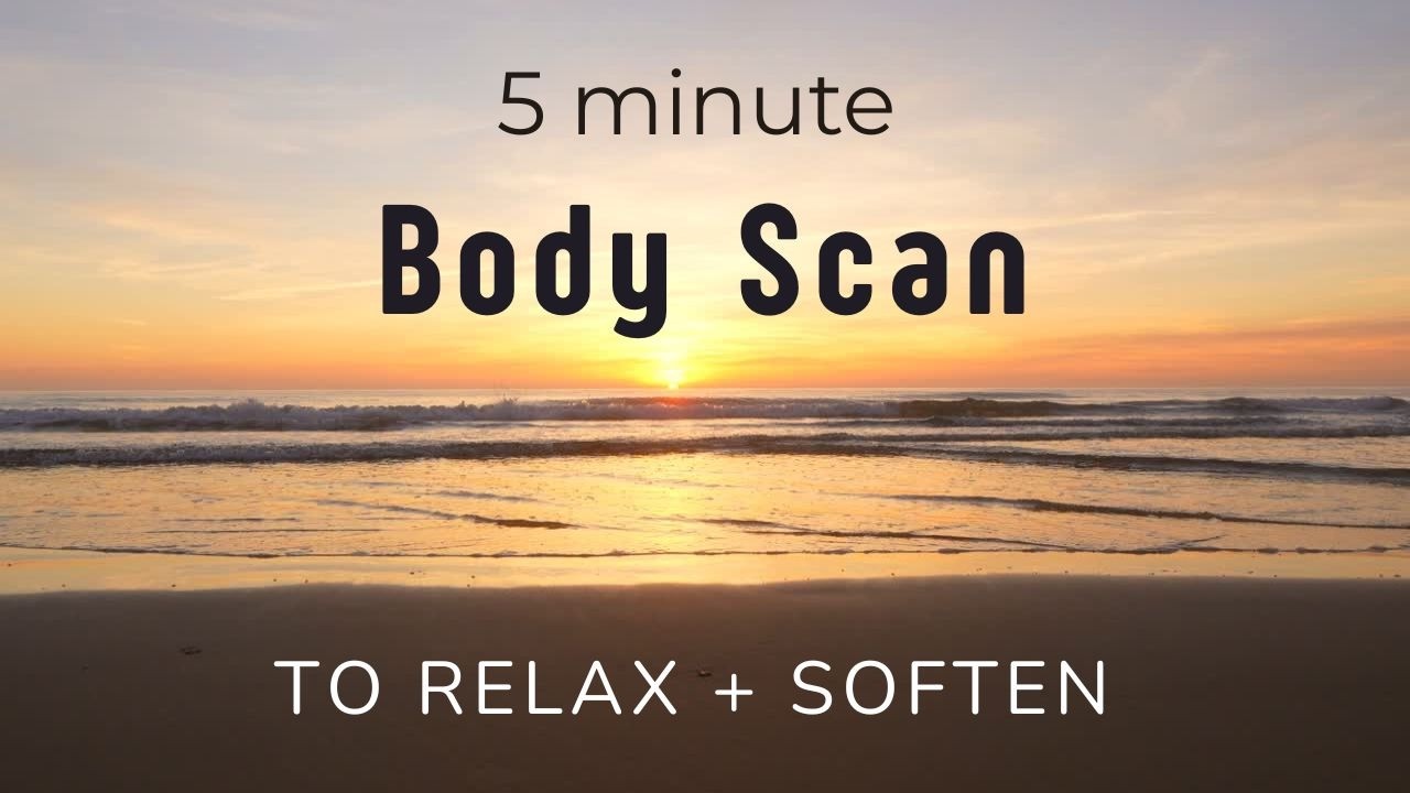 5 Minute Body Scan Meditation to Soften | Gentle Nervous System Reset