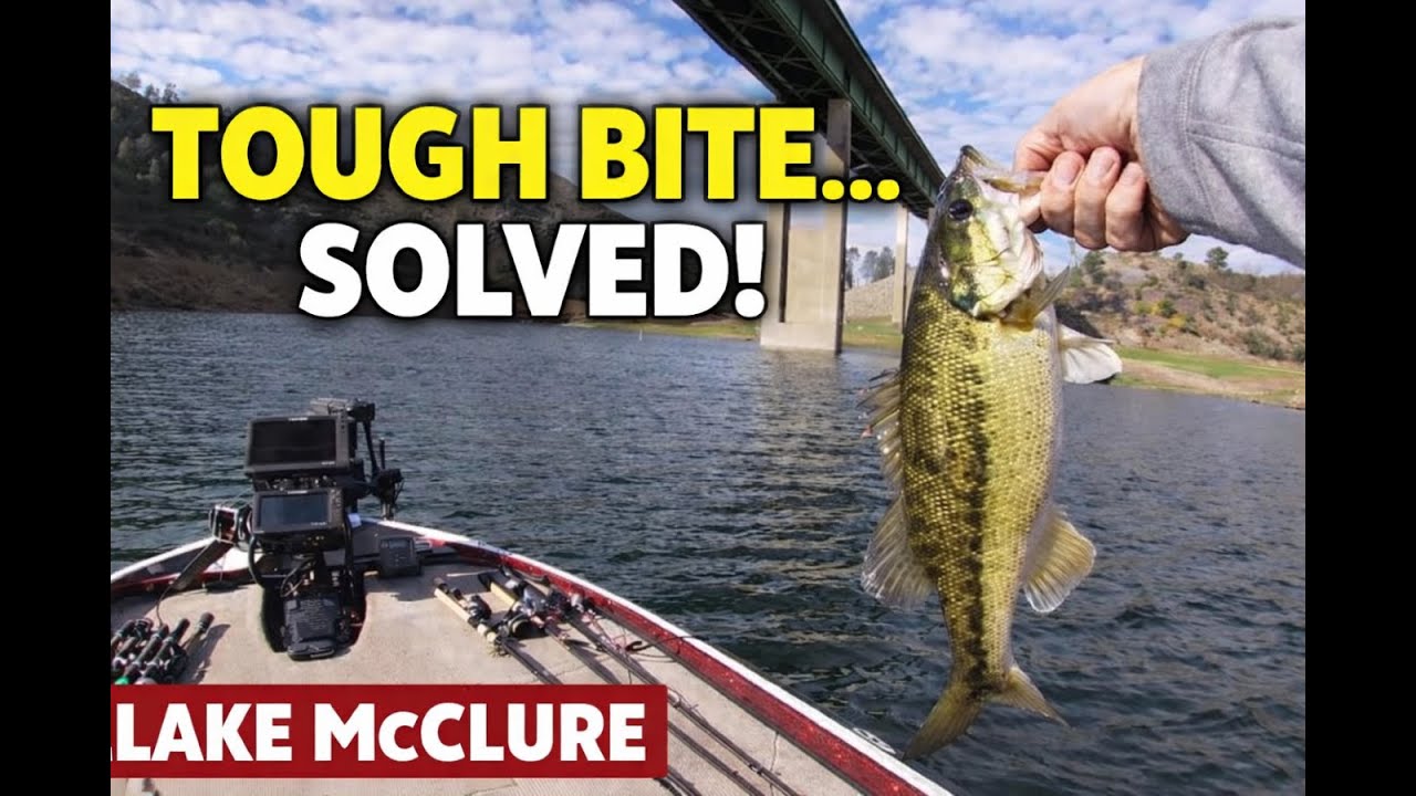 TOUGH BITE… SOLVED!  Lake McClure Winter Bass Fishing #fishing #bass #tournamentfishing