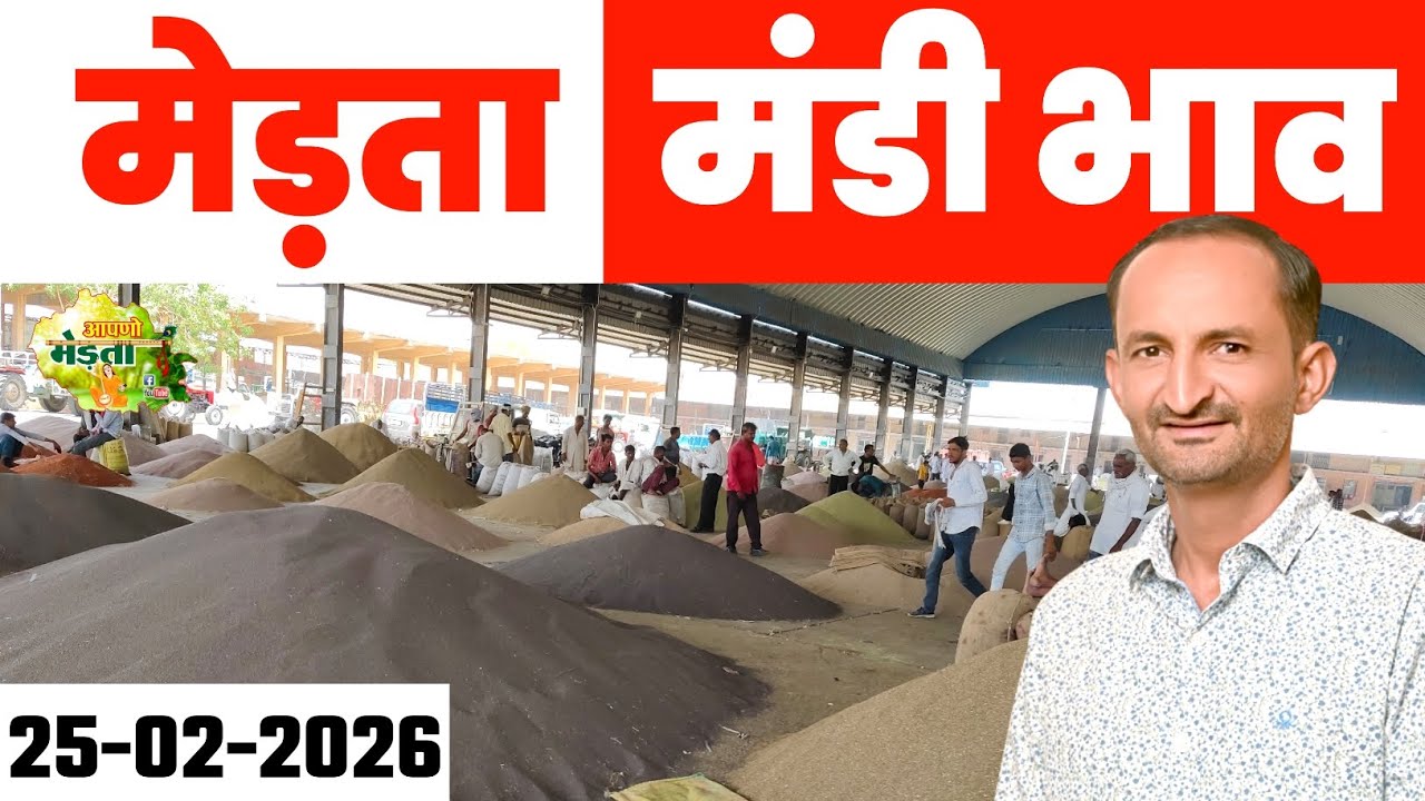 मेड़ता मंडी भाव | Mandi Mandi Today | Merta Mandi Bhav | Gour Bhav | Jeera Bhav Report