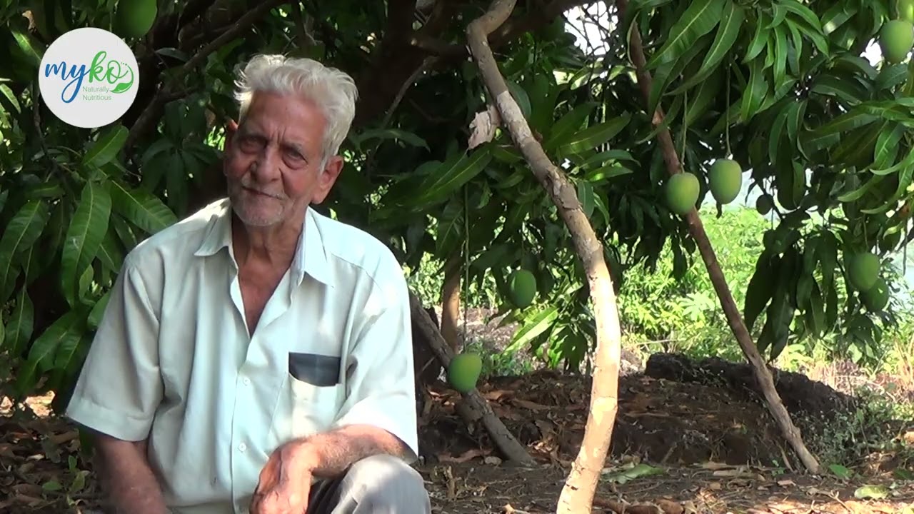 Nana Gokhale's Mango Farm Journey | Devgad | Saundale Kokan | Documentary