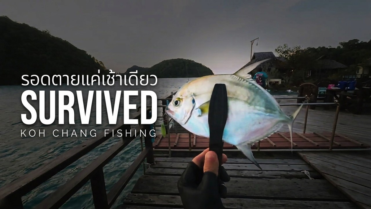🏝️ เกาะช้าง 4 วัน 3 คืน... 😮‍💨 รอดตายแค่เช้าเดียว? (เกิดอะไรขึ้น)