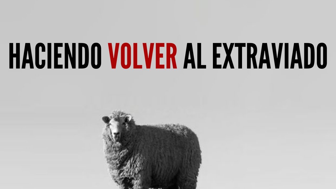 28. Haciendo Volver al Extraviado - Juan Manuel Vaz