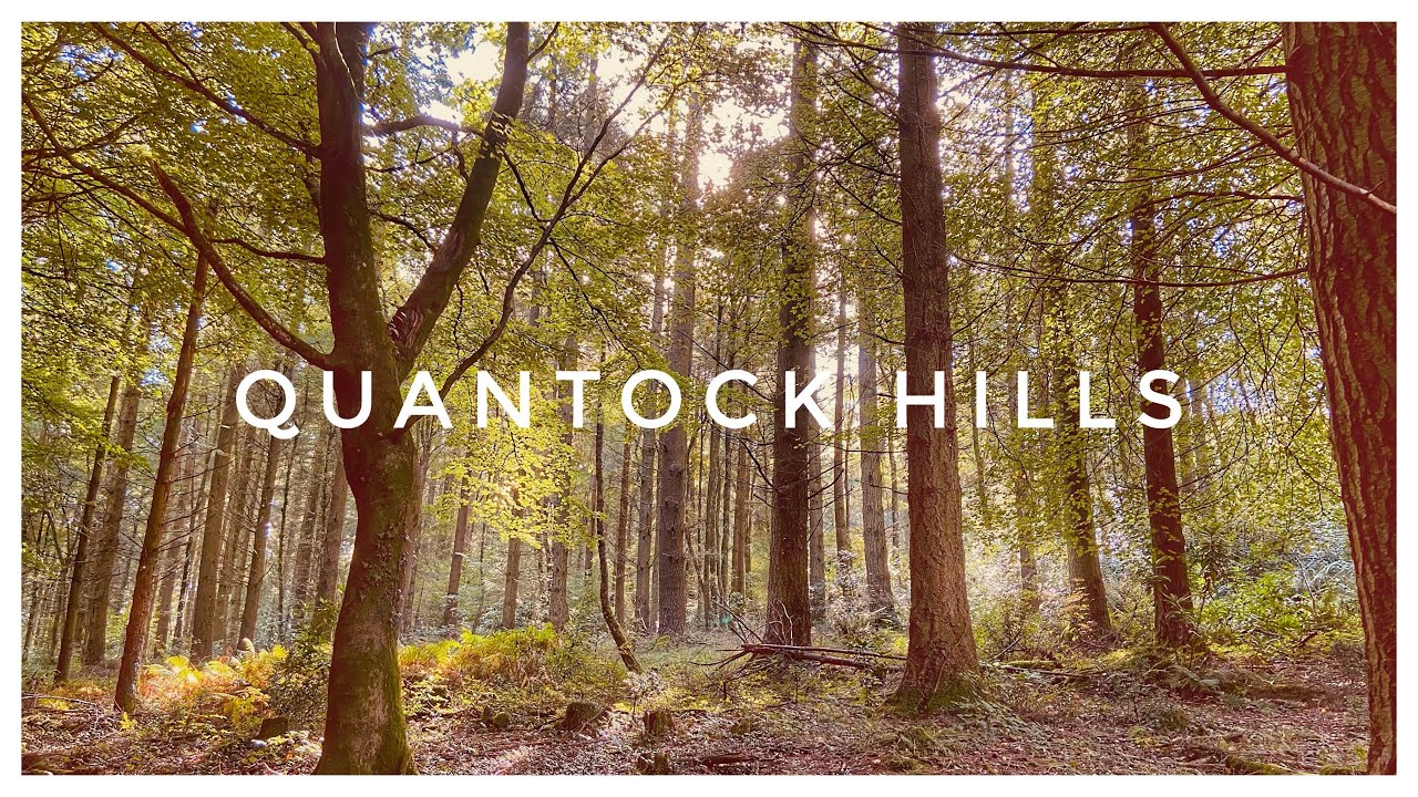 Great Wood Hike (Quantocks) 4K September 2022 Early Autumn
