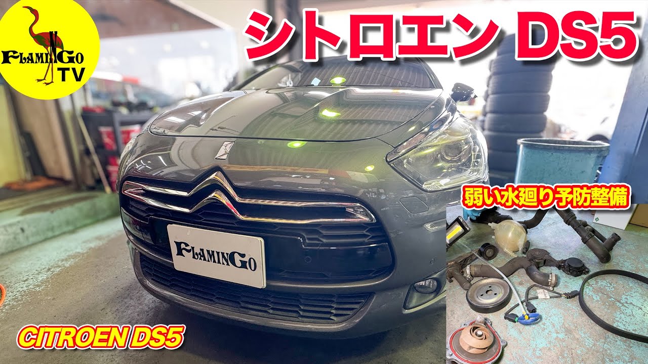 【弱い水廻り！】予防整備でDS5も快適に！