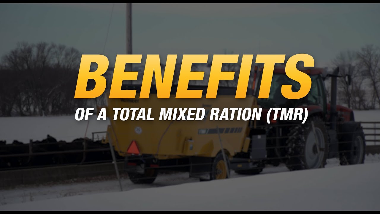 Why you should consider using a total mixed ration