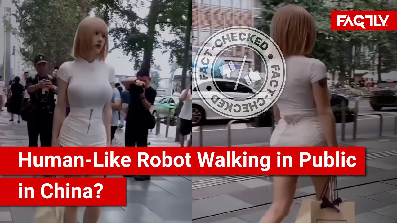 FACT CHECK: Does Viral Video Show Glimpse of Scary Future as Robot Behaves like a Human in China?