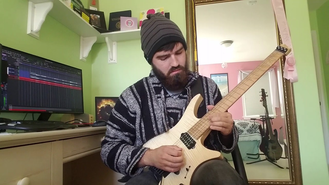Selenium Forest - Plini guitar cover