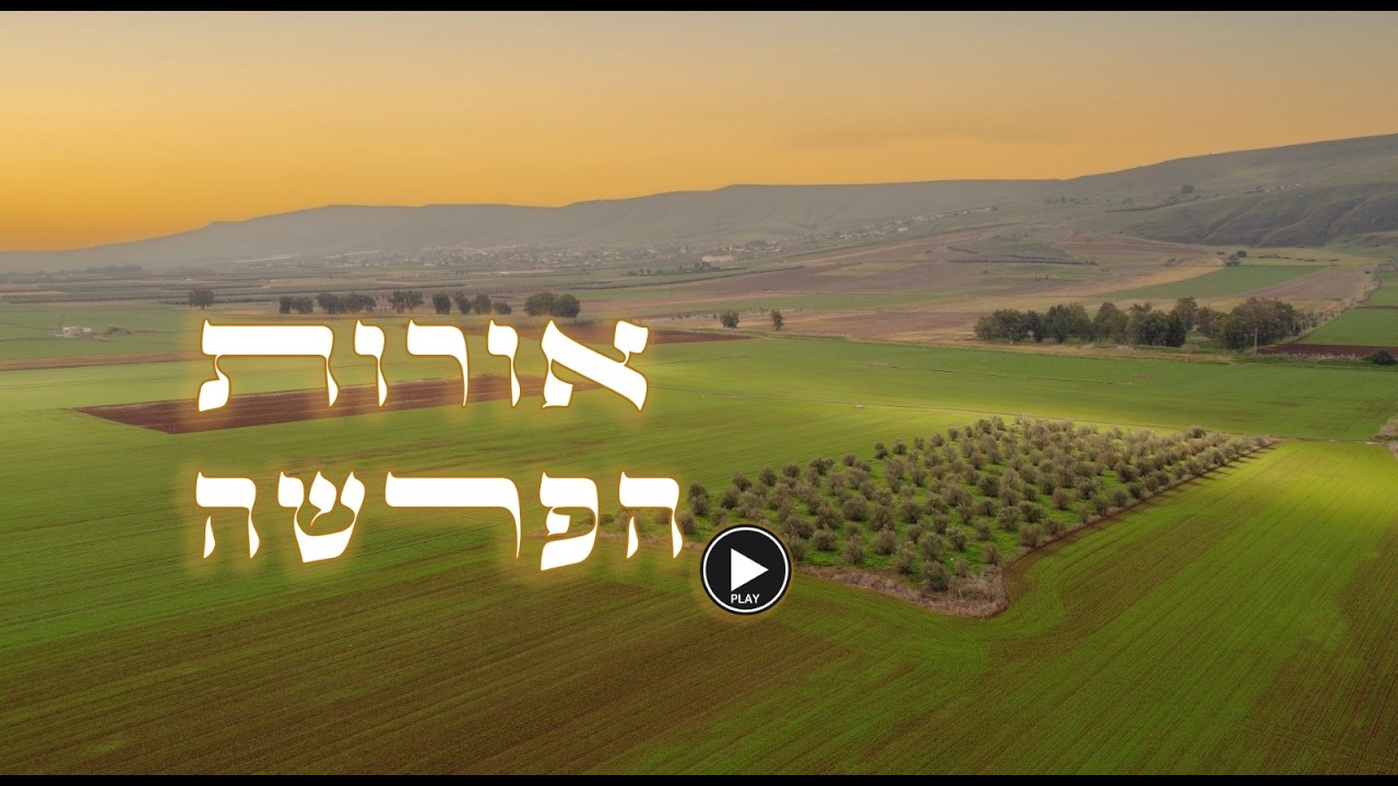 אורות הפרשה | פרשת וארא | הרב בני סרור