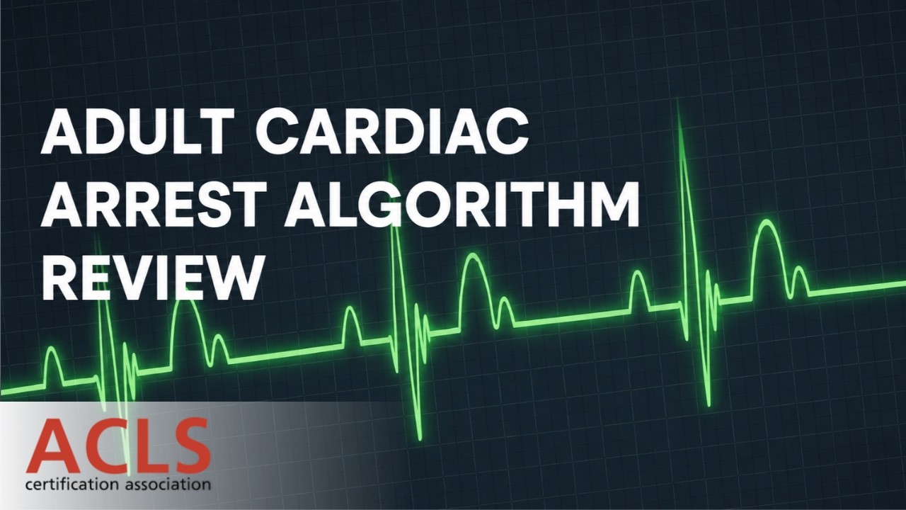 Алгоритм остановки сердца у взрослых | Ассоциация сертификации ACLS