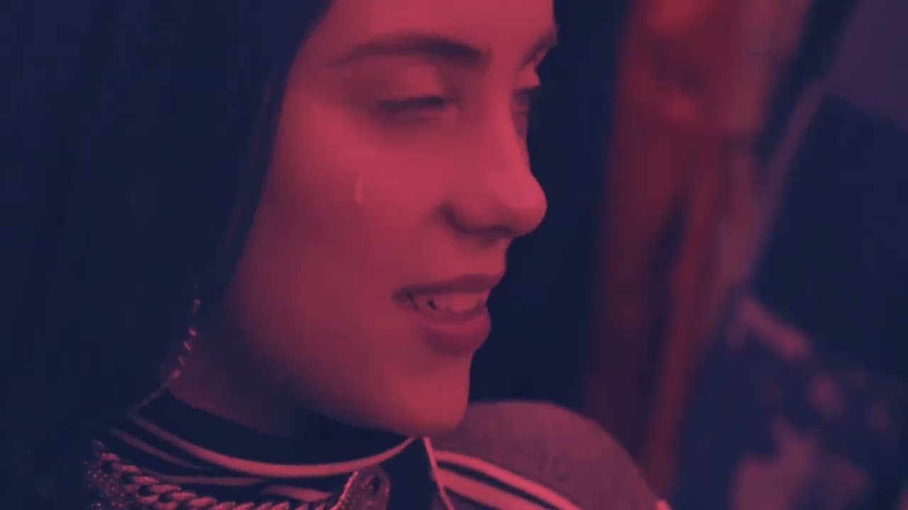 (billie eilish)another stupid song(music video)