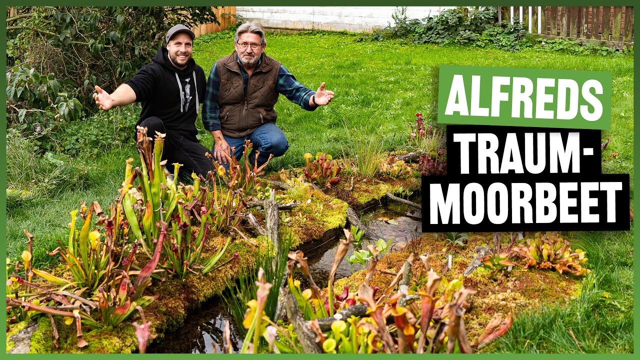 #202 Moorbeet mit Bach - gro&szlig;es Herbst Update & Entwicklung nach einem Jahr