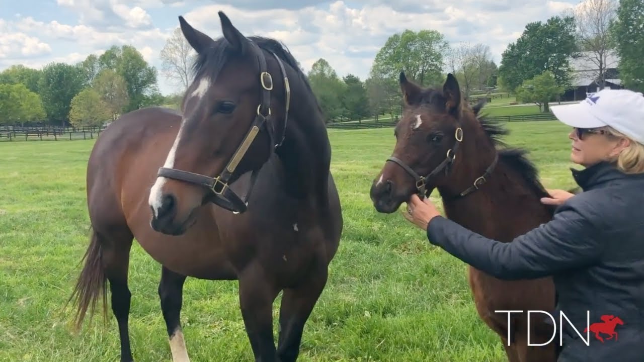 Songbird Celebrates Her Second Mother's Day