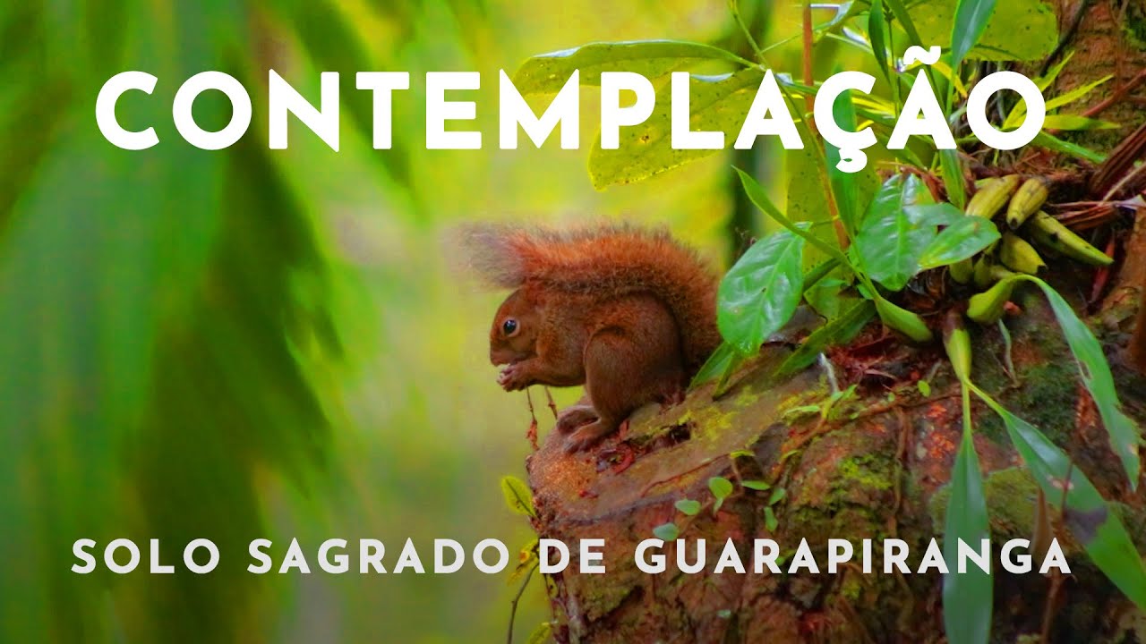 Contemplação - Solo Sagrado de Guarapiranga | LXXVII