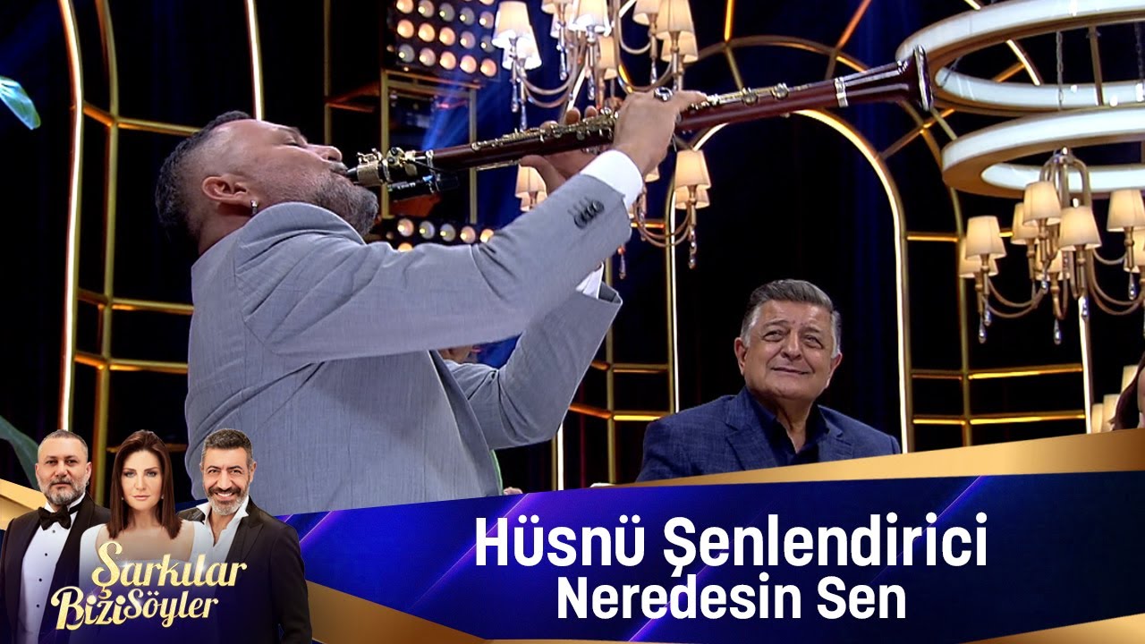Hüsnü Şenlendirici - NEREDESİN SEN