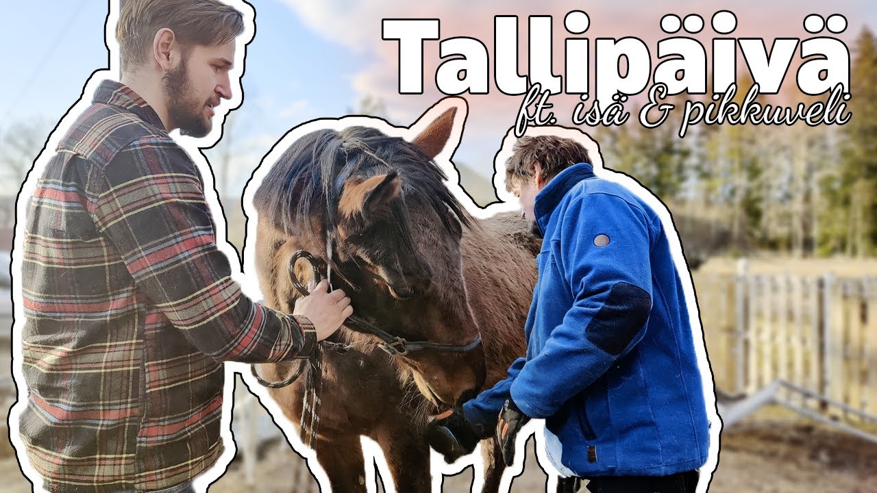 VLOG: Tallipäivä pikkuveljen kanssa 😍
