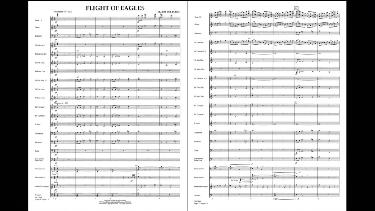 Flight of the Eagles by Elliot del Borgo