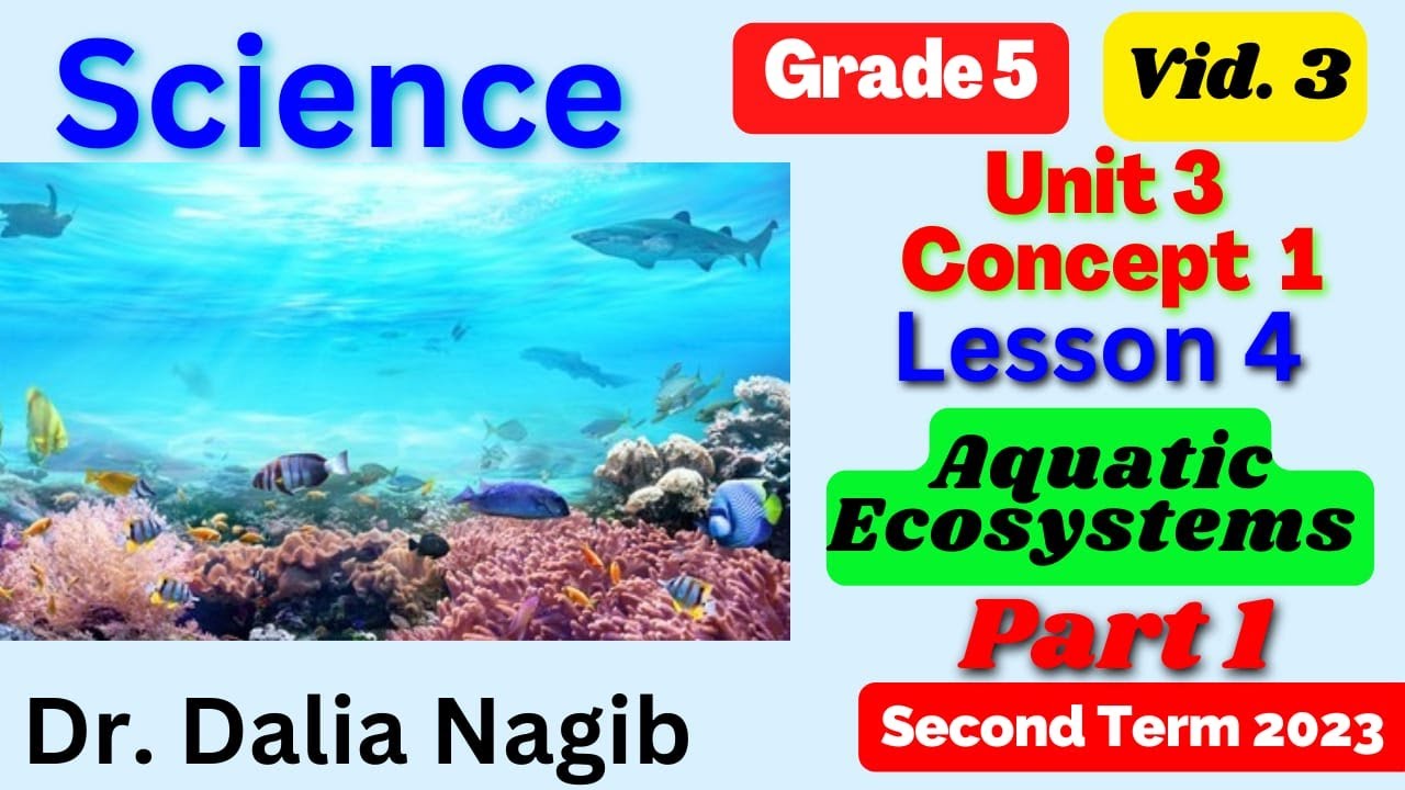 Science Grade 5 Unit 3 Concept 1 Lesson 4 Aquatic Ecosystems | Part 1 ساينس خامسه  الترم الثاني