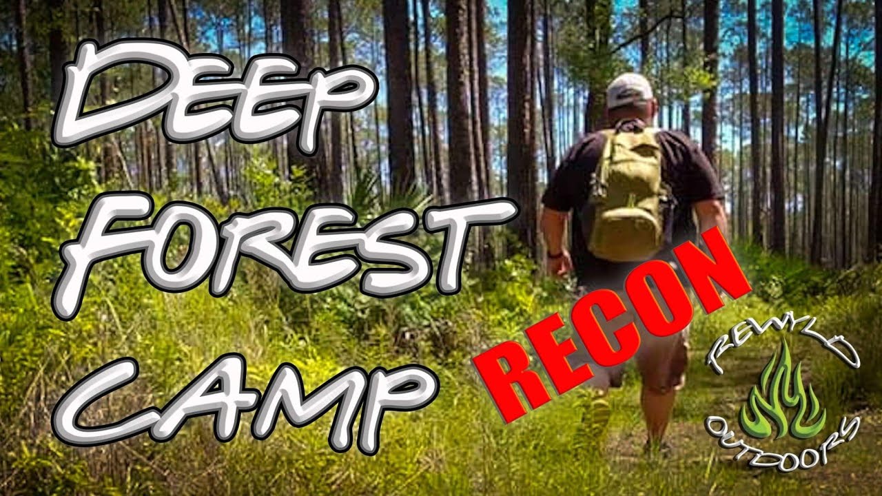 Deep Forest Camp Recon #hiking #camping #backpacking #wilderness #backcountry