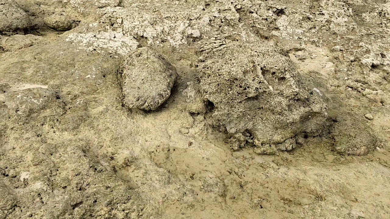 Natural Coral Bridge/Howrah Bridge- Neil Island (Andaman)