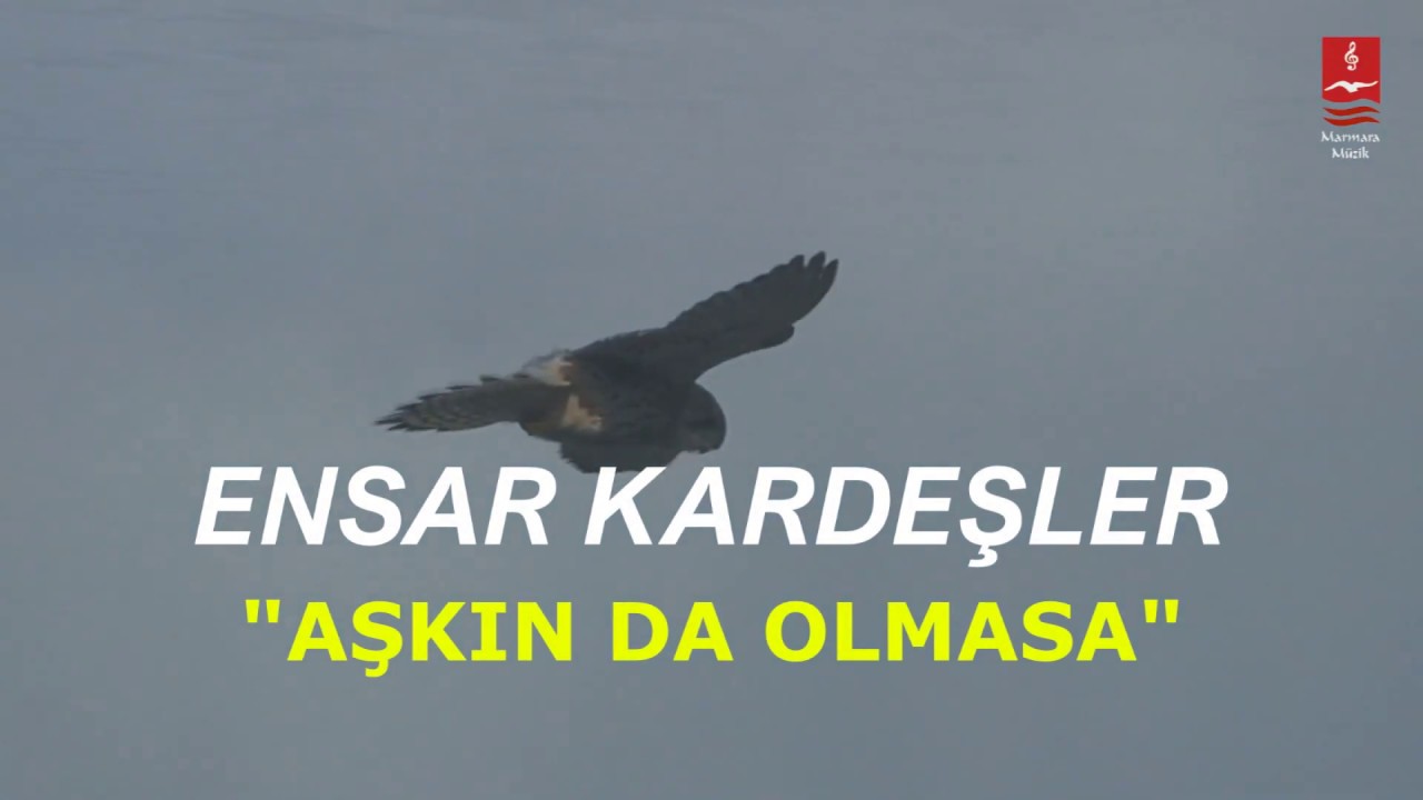 Ensar Kardeşler 