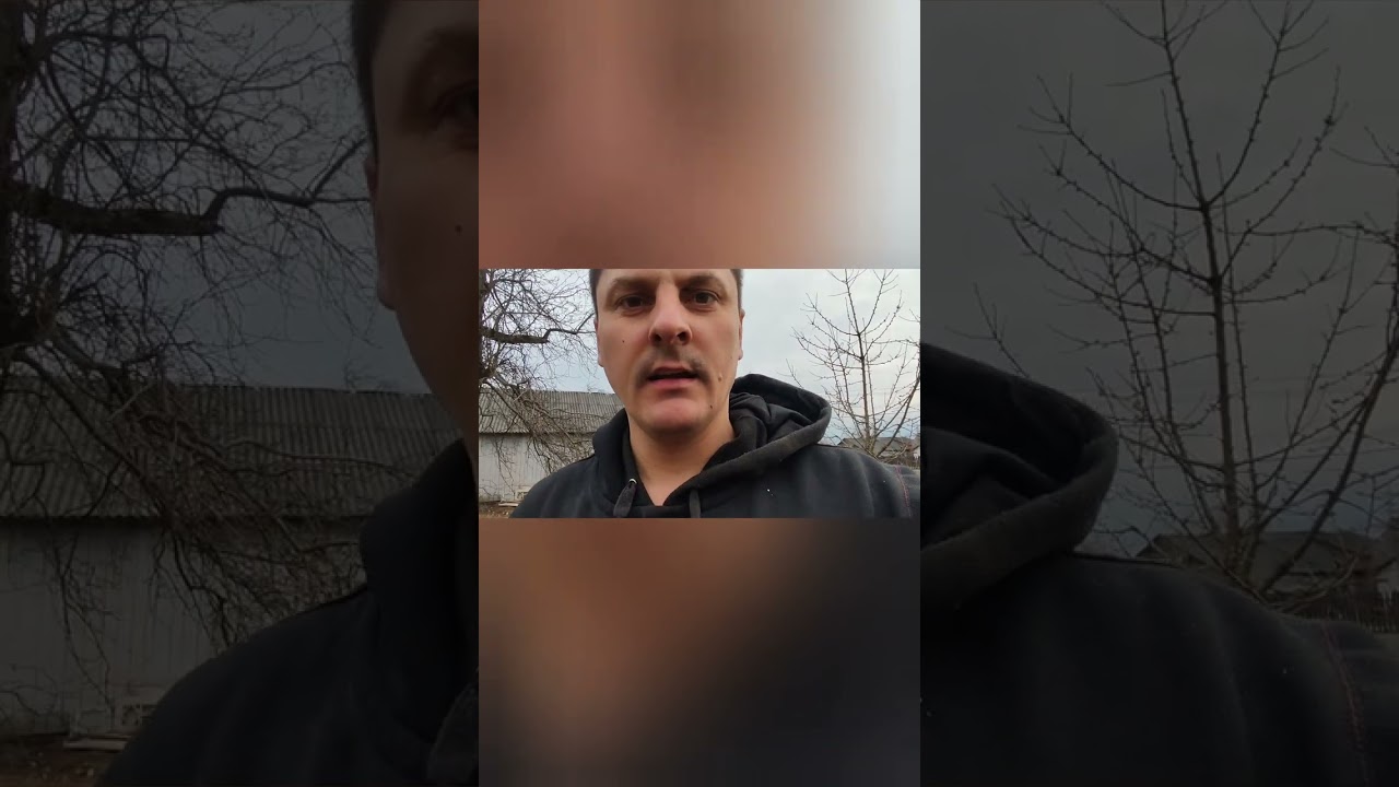 Щеплення старої яблуні