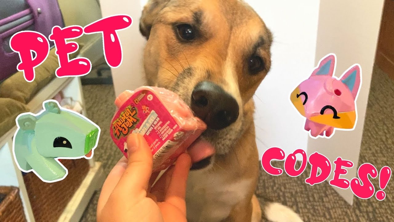 ANIMAL JAM TOY UNBOXING WITH MY DOG! / REDEEMING PET CODES