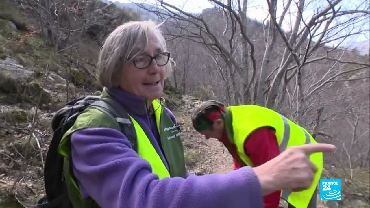 The spring awakening of the forest in France's Ard&egrave;che region
