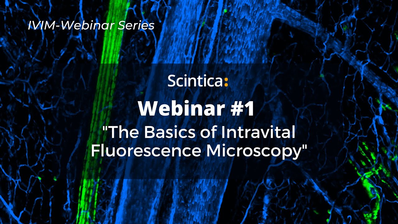 IVIM  Webinar - The Basics of Intravital Fluorescence Microscopy