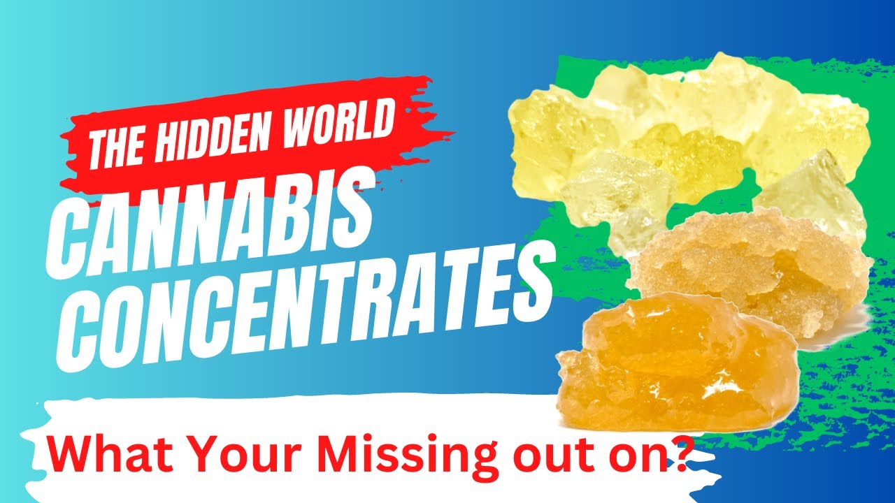 🌿💎The Hidden World of Cannabis Concentrates: What You're Missing Out On!💎🌿