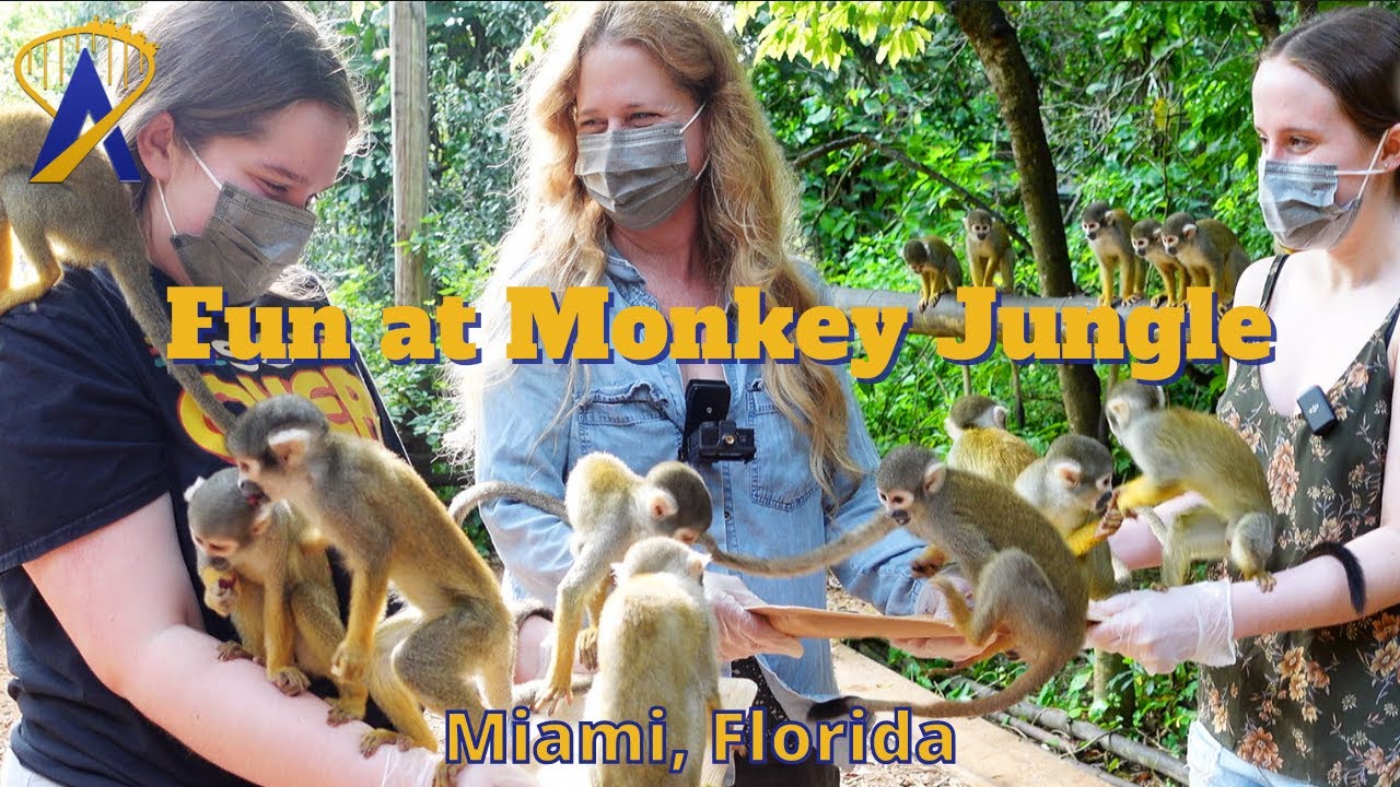 Fun from Monkey Jungle in Miami