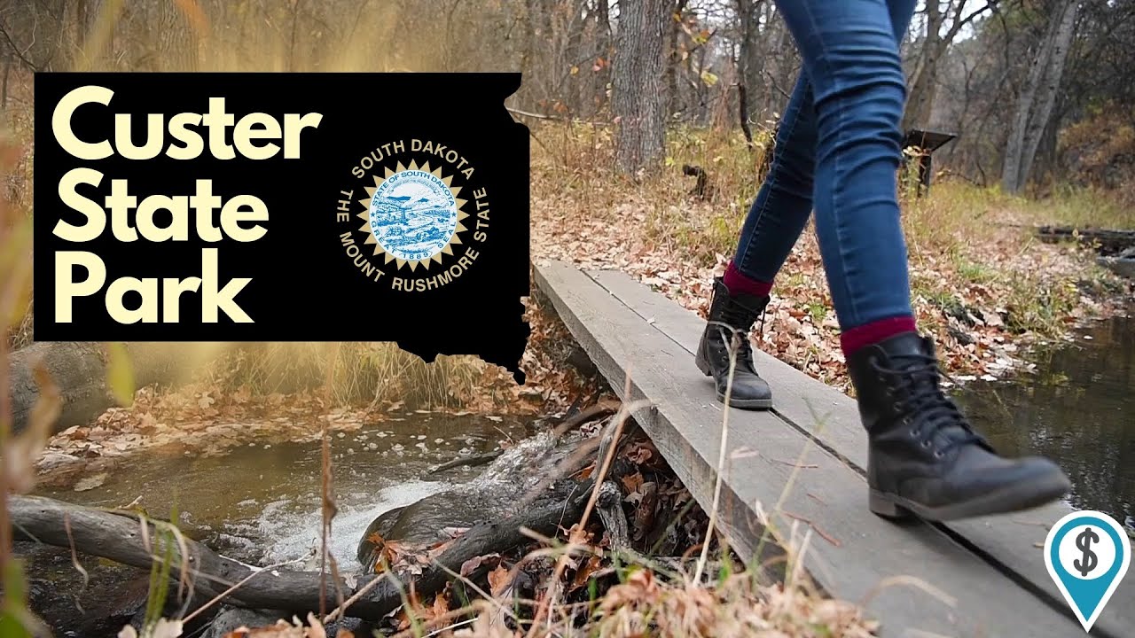 Wildlife and Scenic Drives in Custer State Park, South Dakota