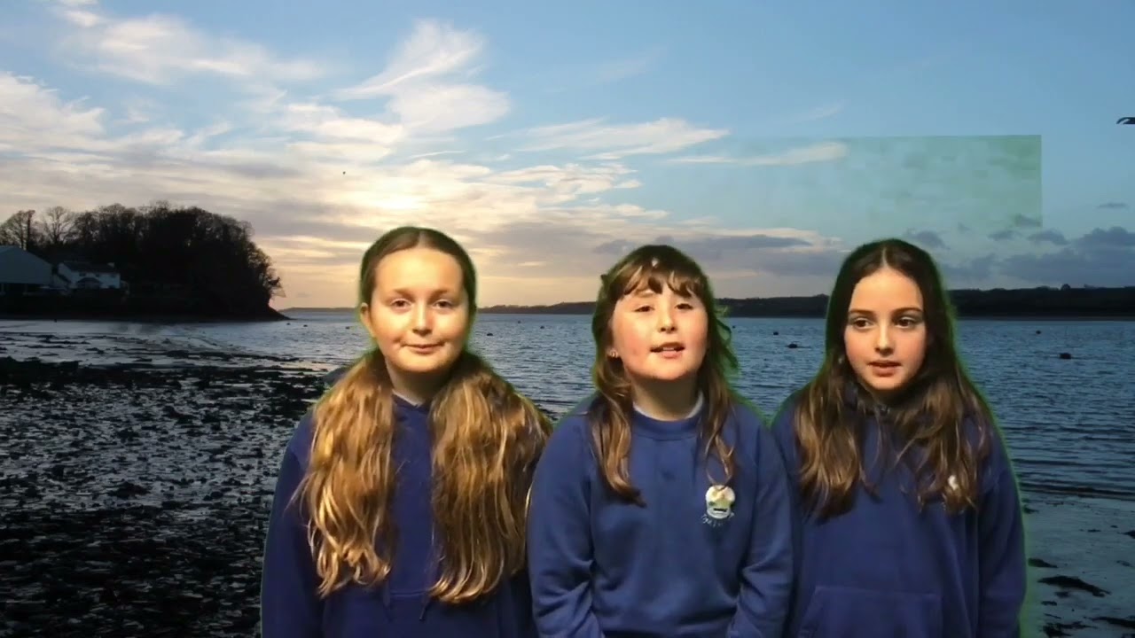 Ysgol Felinheli - Marina Ni