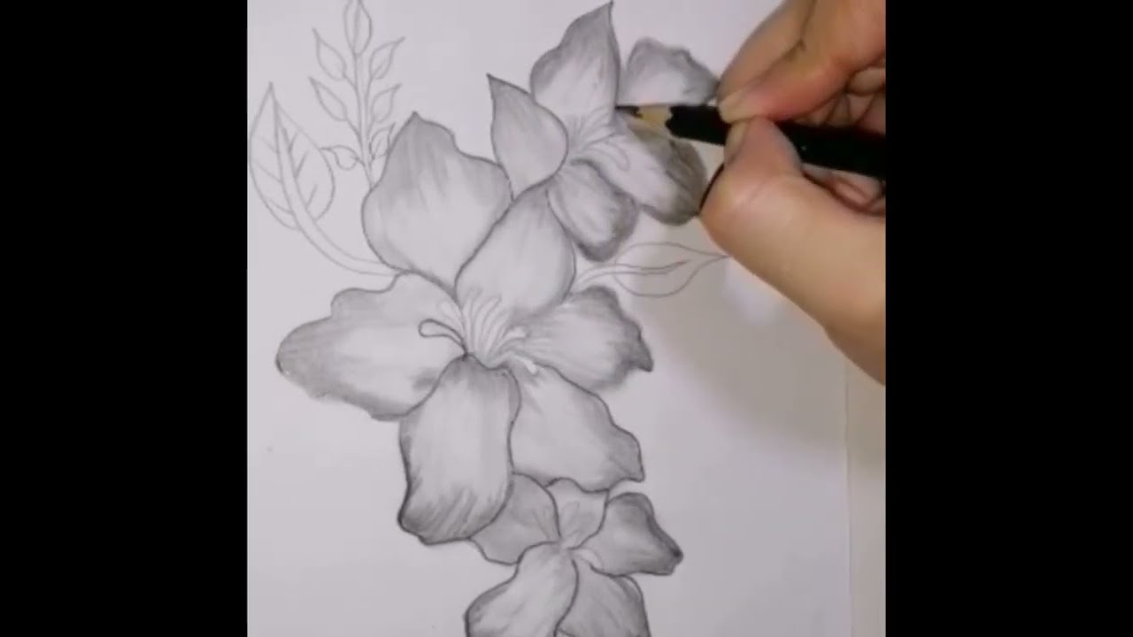flowers sketch drawing/pencil sketch easy/Artful Apprentices