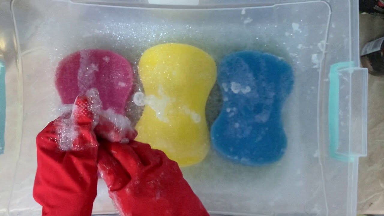 Morning Fresh And Hot Water ASMR Sponge Squeezes By Sudsy_sponge  #asmr #asmrsponge #sponge squeezes