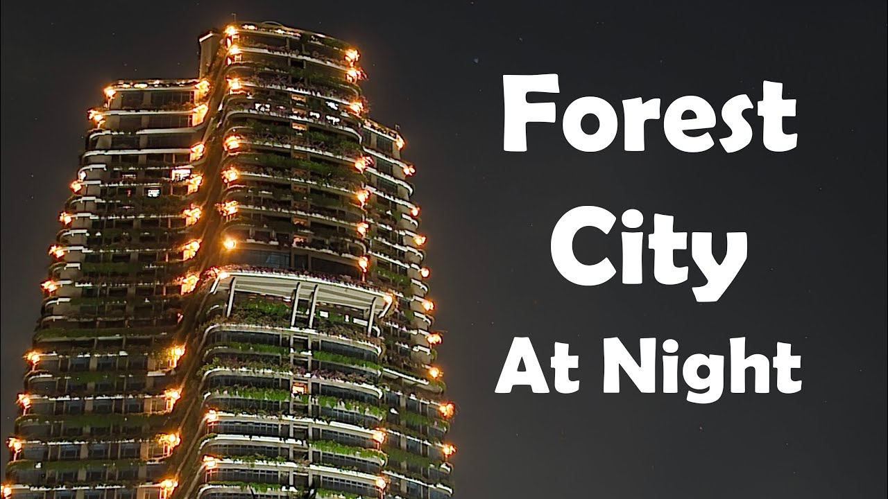Forest City Malaysia At Night