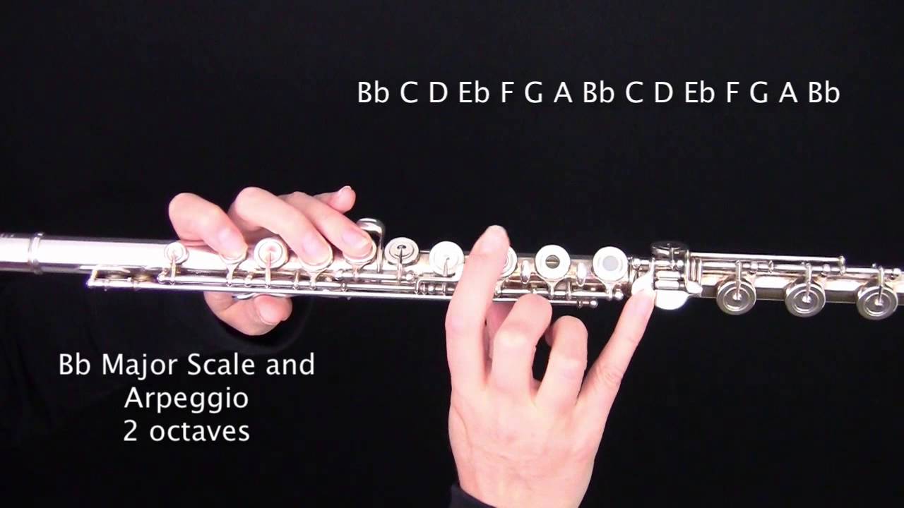 B flat (Bb) Major Scale and Arpeggio for FLUTE : Learn Flute Online Step by Step Tutorials
