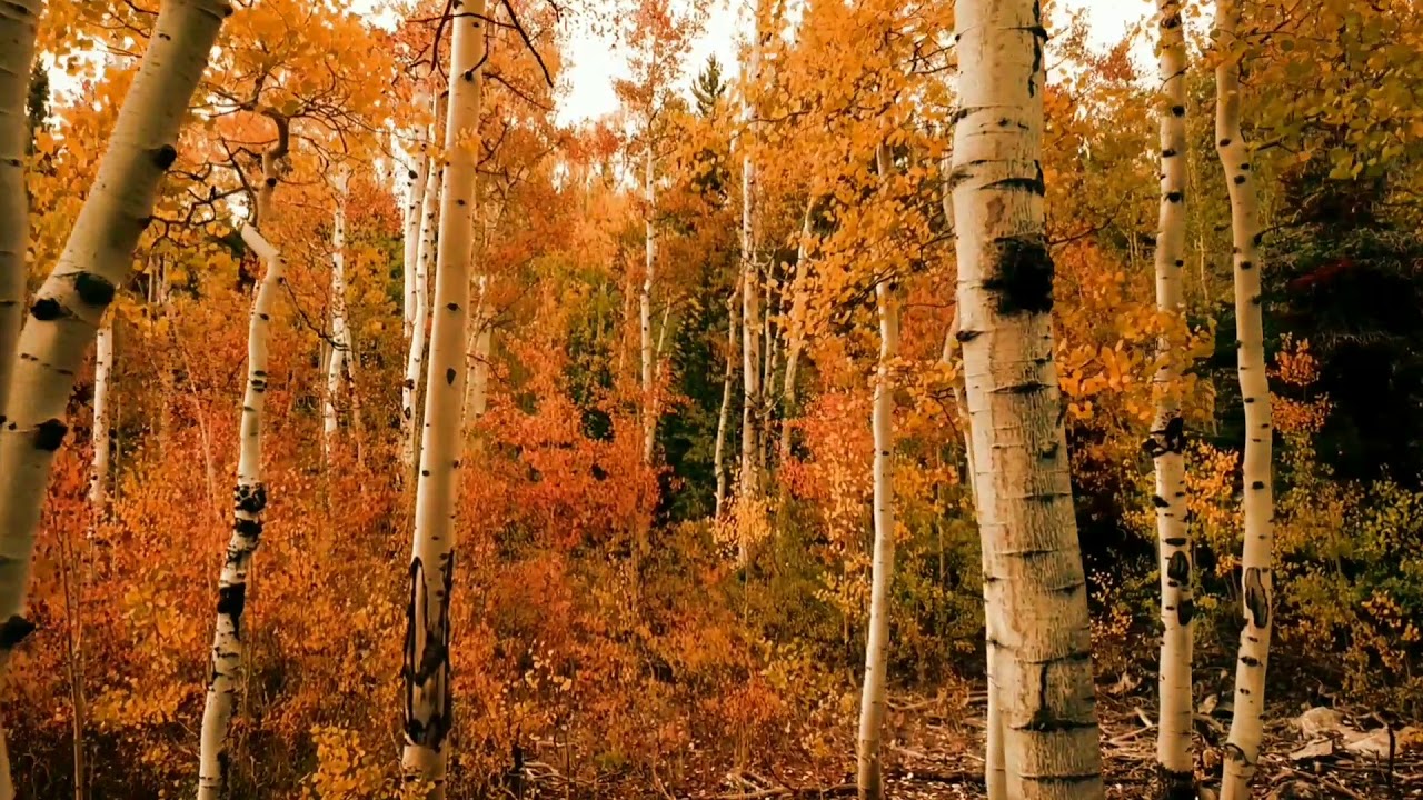 Norway amazing beautiful natere with relaxing music and sound