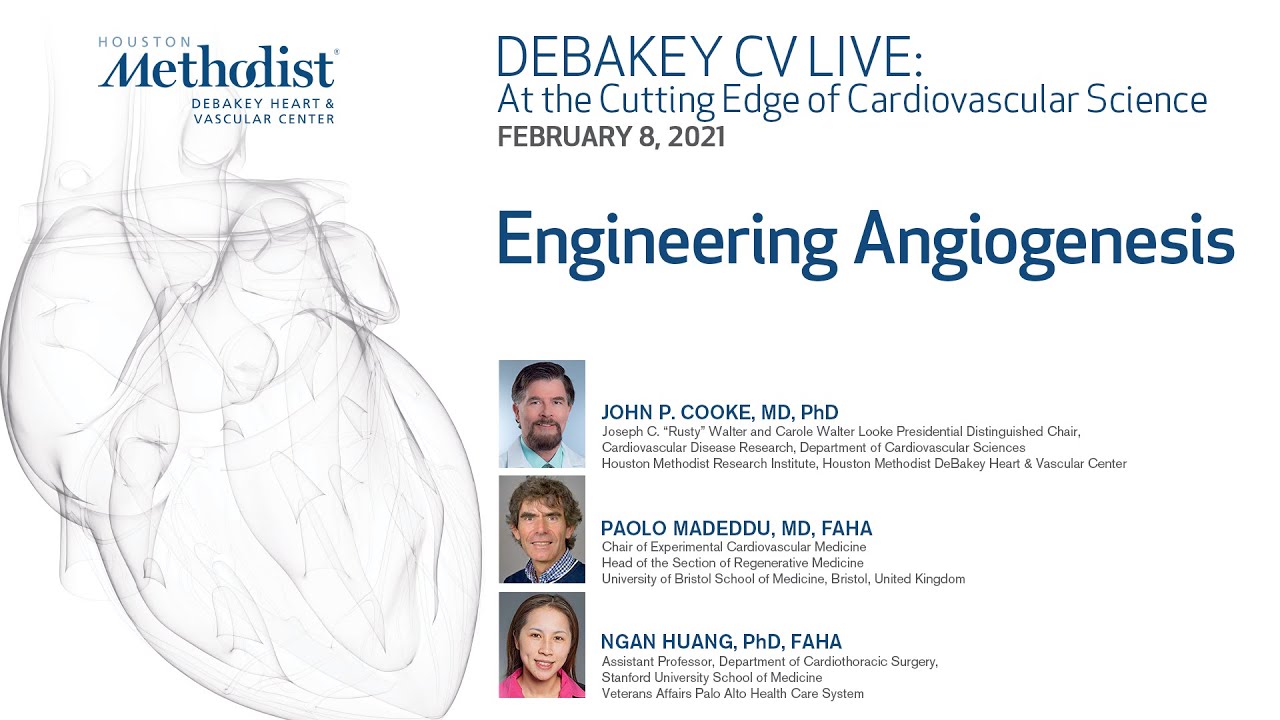 Engineering Angiogenesis (John P. Cooke, MD; Paolo Madeddu, MD; Ngan Huang, PhD) February 8, 2021