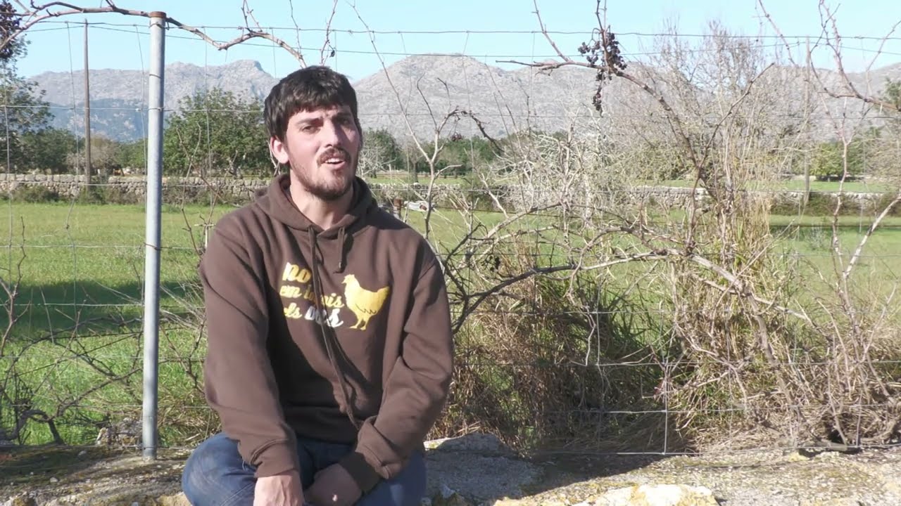 Glosa de Sant Antoni