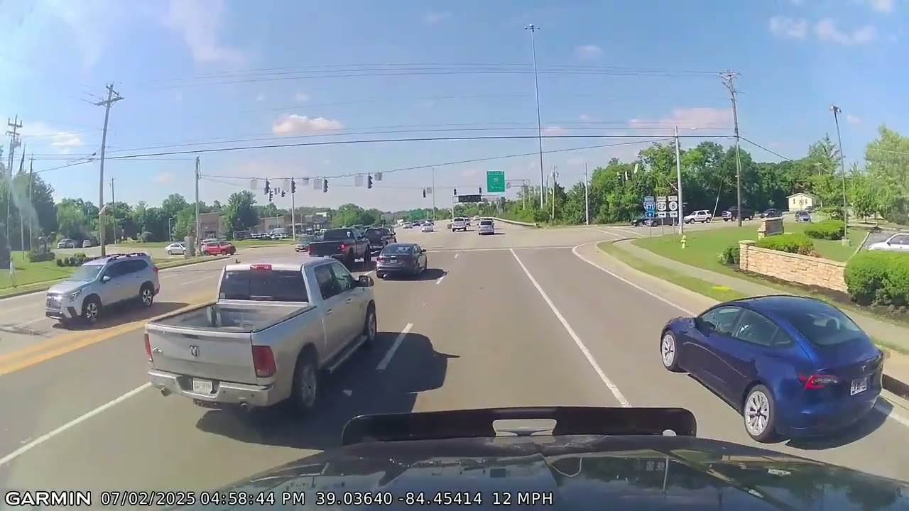 Stupid Assholes 1
