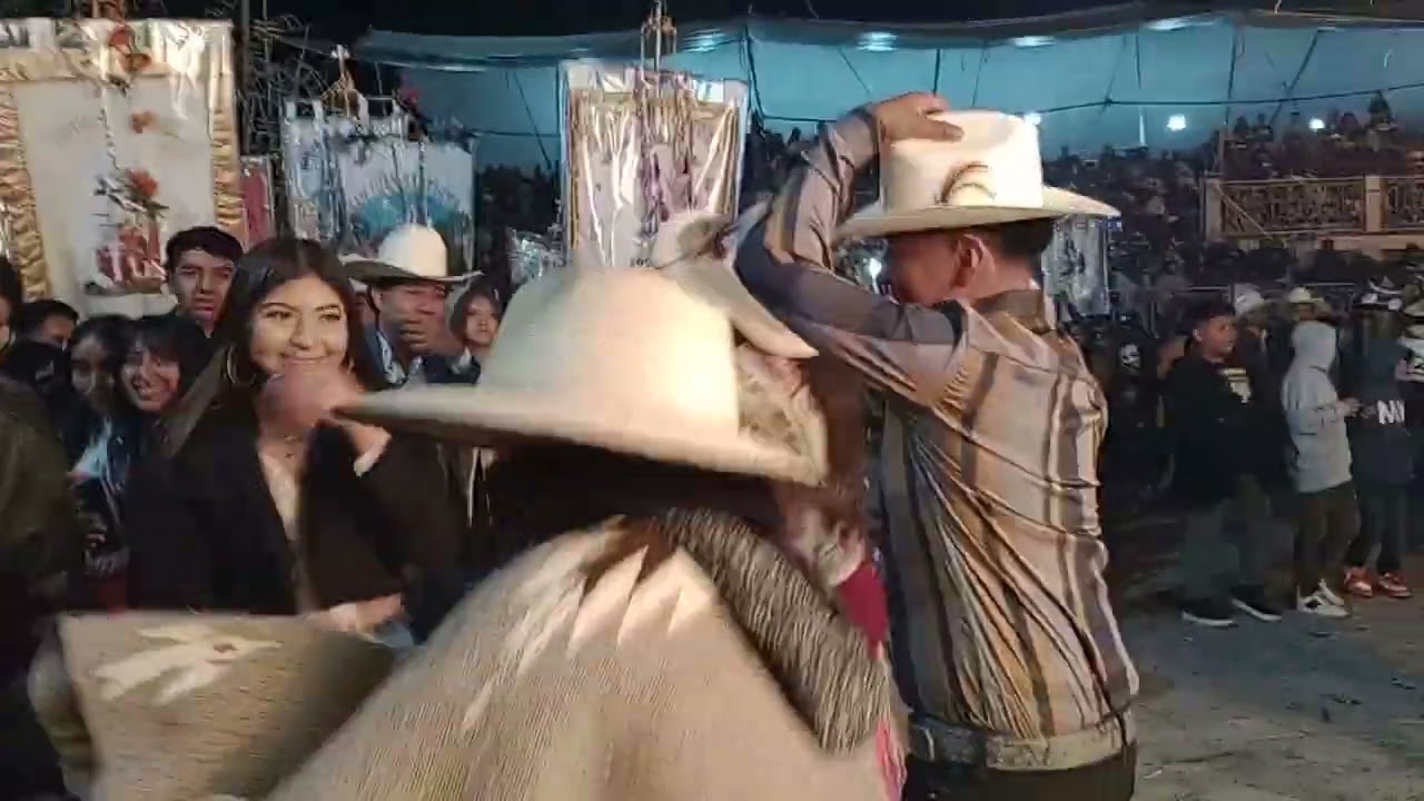 toritos en BOSHESDa.parte 2