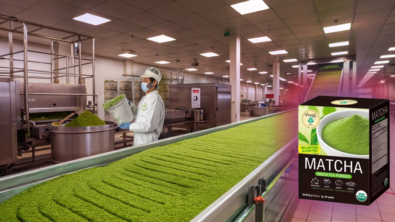 How Matcha Tea Powder Is Made | Matcha Tea Factory Process