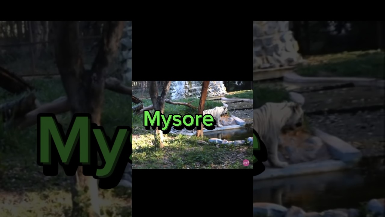 Mysore one day budget trip from Bangalore