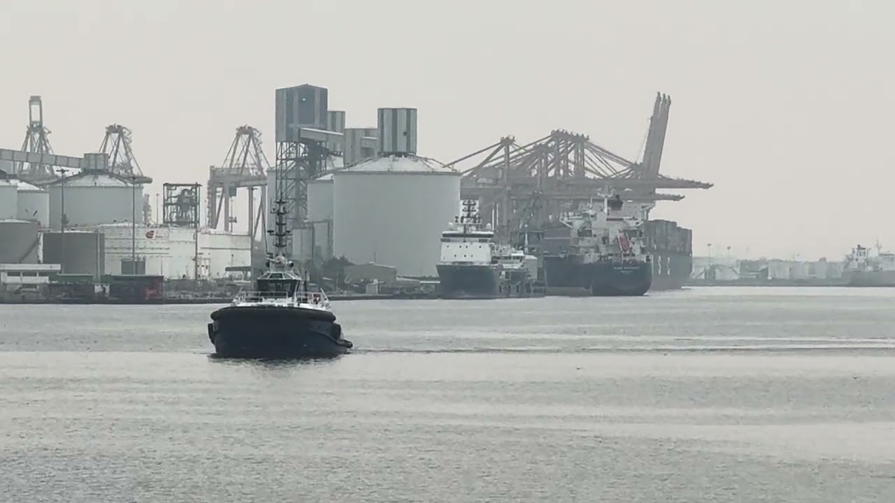 World Biggest Sea port 🚢🚢🏴‍☠️🏴‍☠️🏴‍☠️