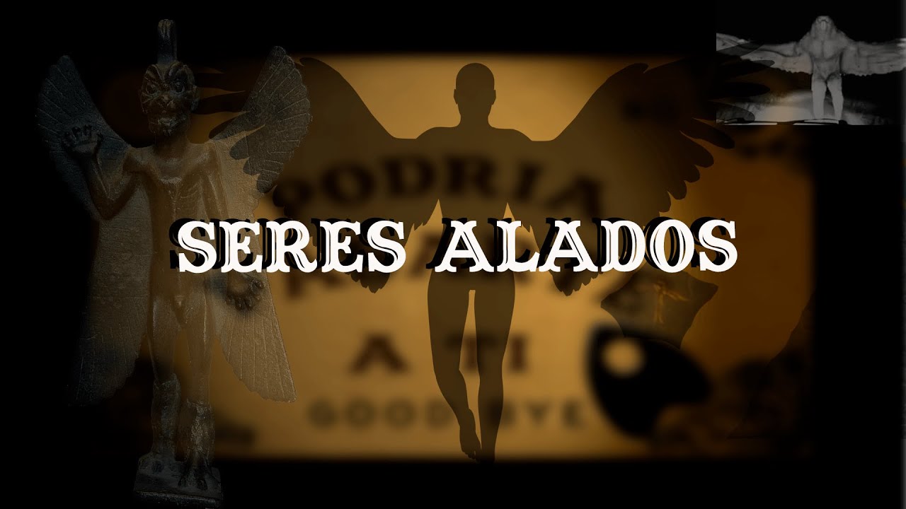 Seres alados - Podr&iacute;a Pasarte a Ti