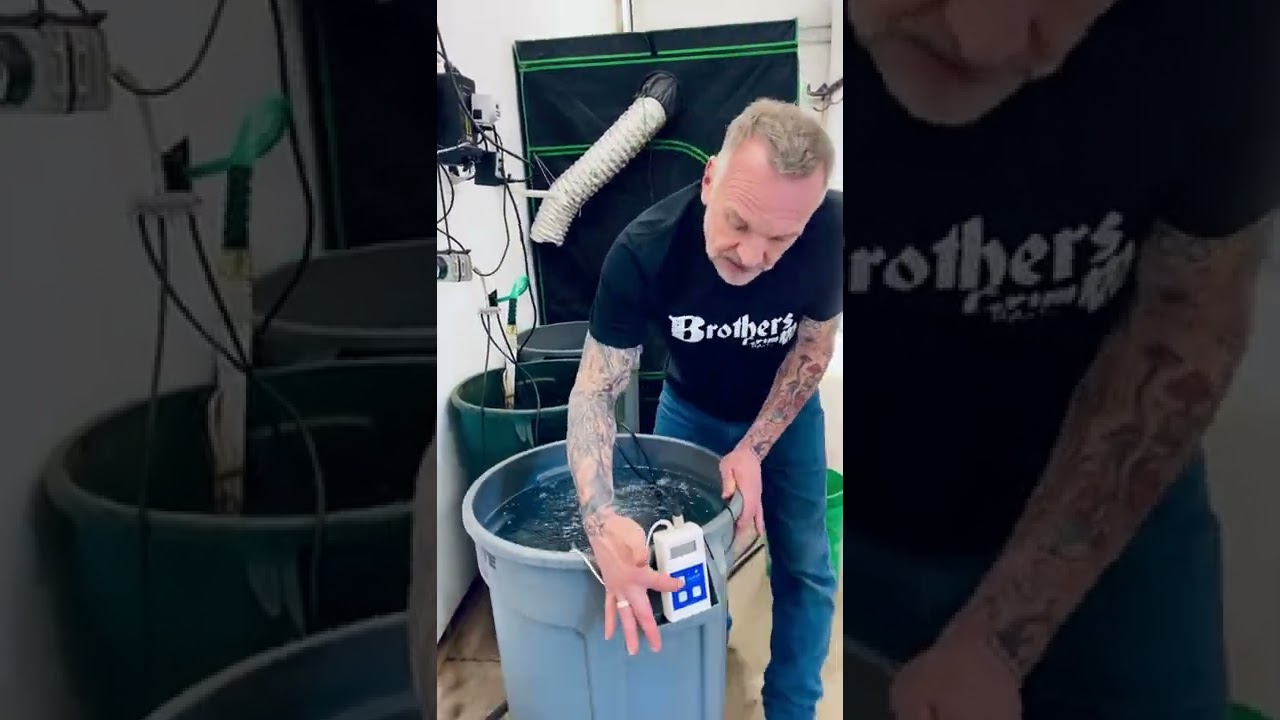 Forced irrigation tips with seed breeder MrSoul of Brothers Grimm Seeds