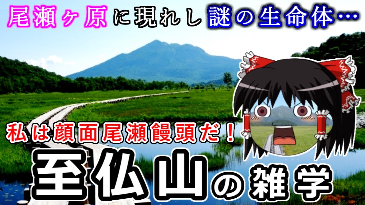 尾瀬ヶ原に現われし謎の生命体…顔面尾瀬饅頭が至仏山の雑学をゆっくり解説 #86