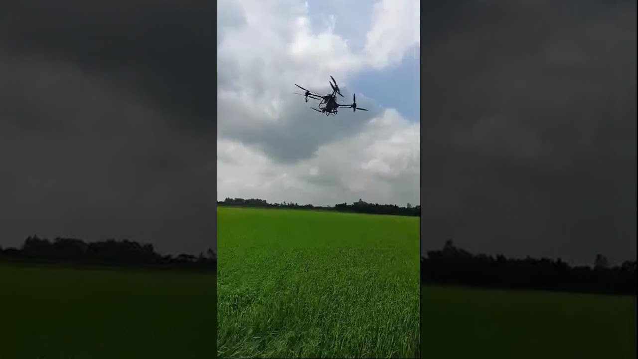 Drone rải phân bón hiệu Con Lười F35 cho lúa nhà anh Triệu tại Tháp Mười – Đồng Tháp