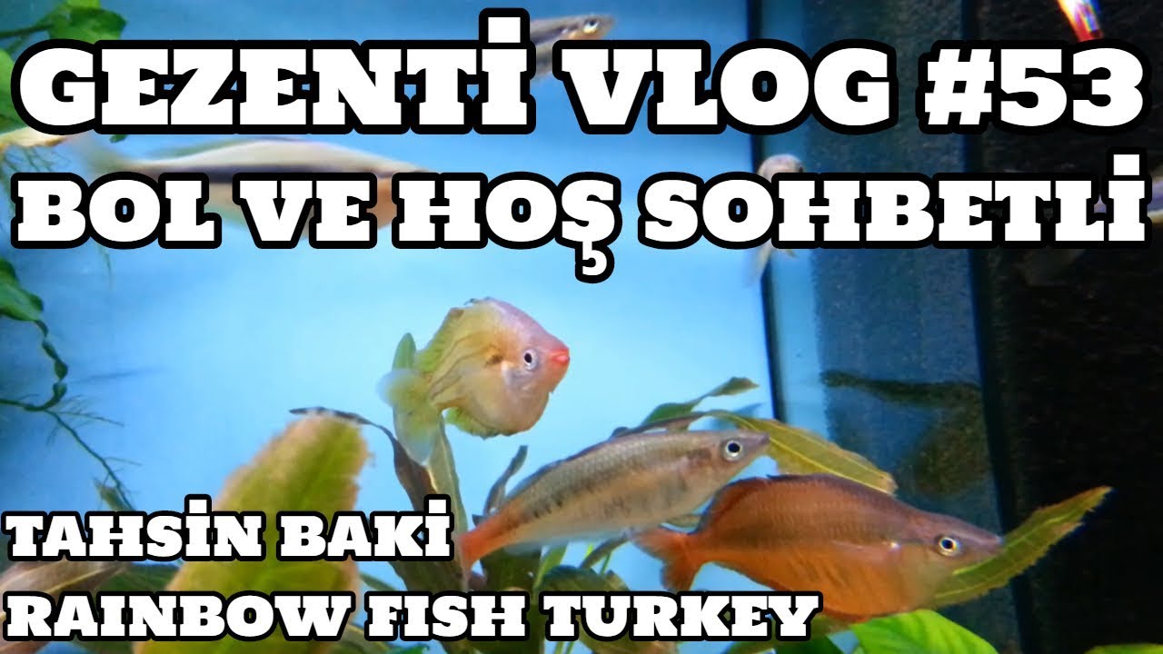 Gezenti Vlog #53 (Rainbow Fish Turkey) [Tahsin Baki]