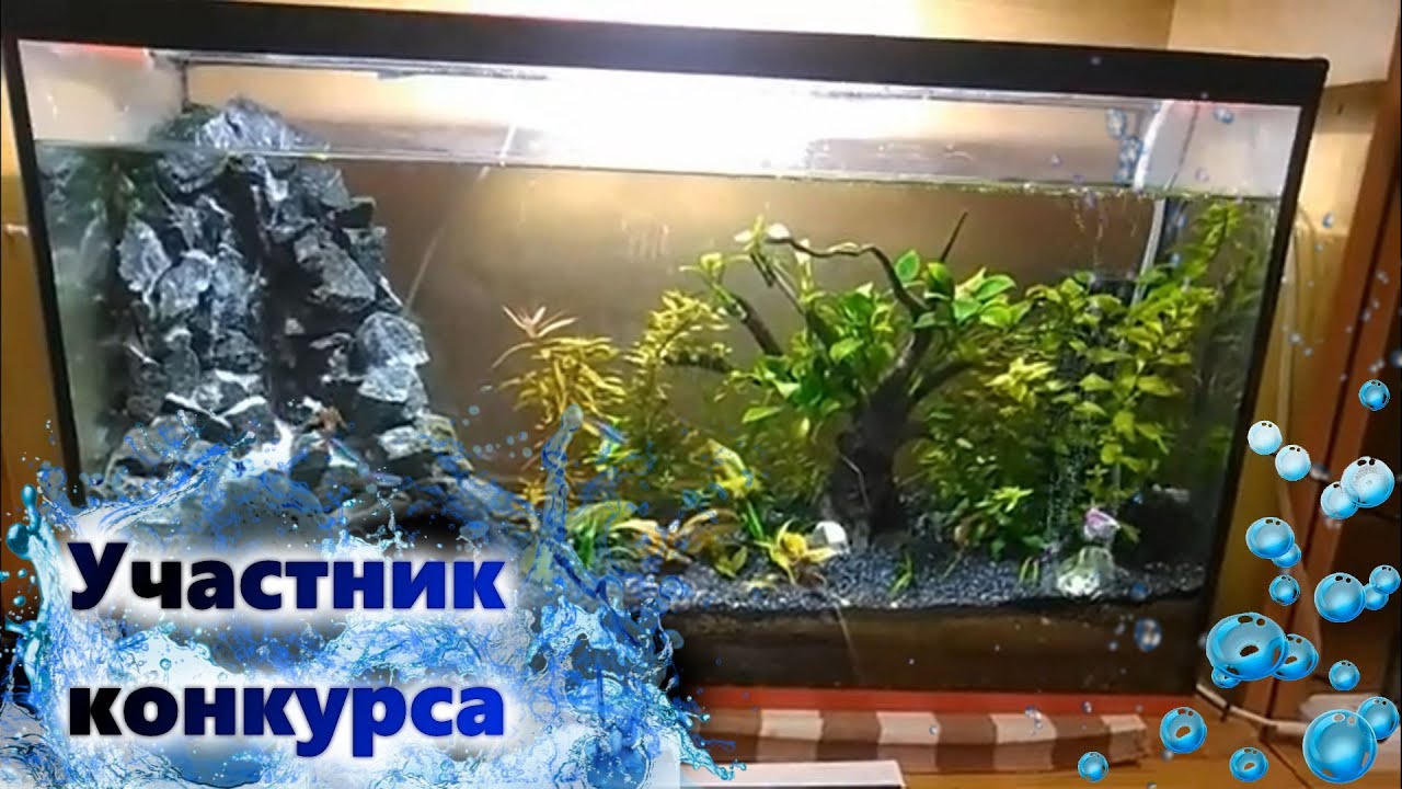 Пескопад Своими руками, подробное описание. Участник конкурса